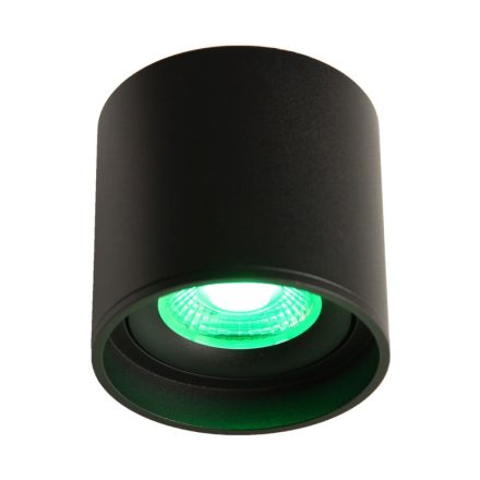LED Mennyezeti Spot 24V, 8W, RGBW/2700K, CRI90 fekete