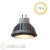 LED Retrofit Spot, 24V, 4W, 2700K, MR16 (GU5.3)